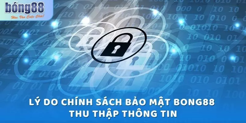 Tại sao chính sách bảo mật tại Bong88 thu thập thông tin của người chơi?
